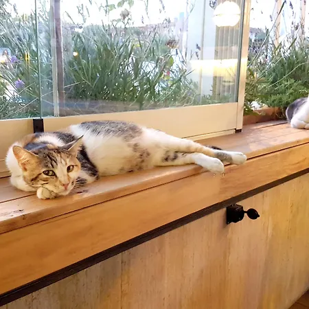 Aladeniz Büyükçekmece