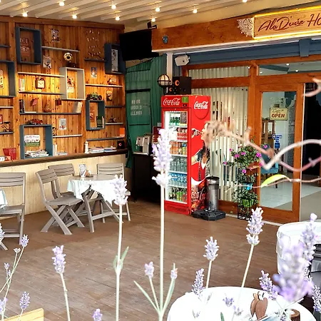 Aladeniz 2* 布尤切克梅奇