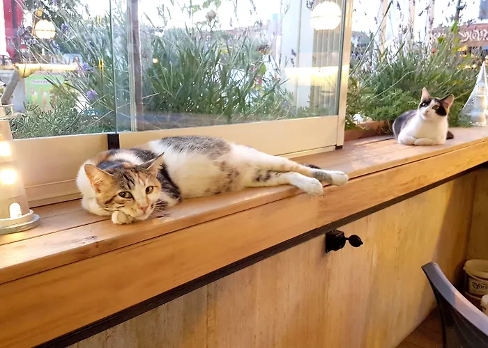 Aladeniz Buyukcekmece